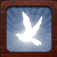 Last Words: Share Your Memories